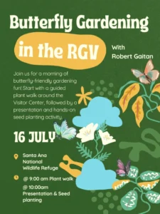 Butterfly Gardening In The Rgv
