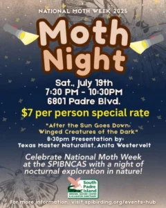 Moth Night