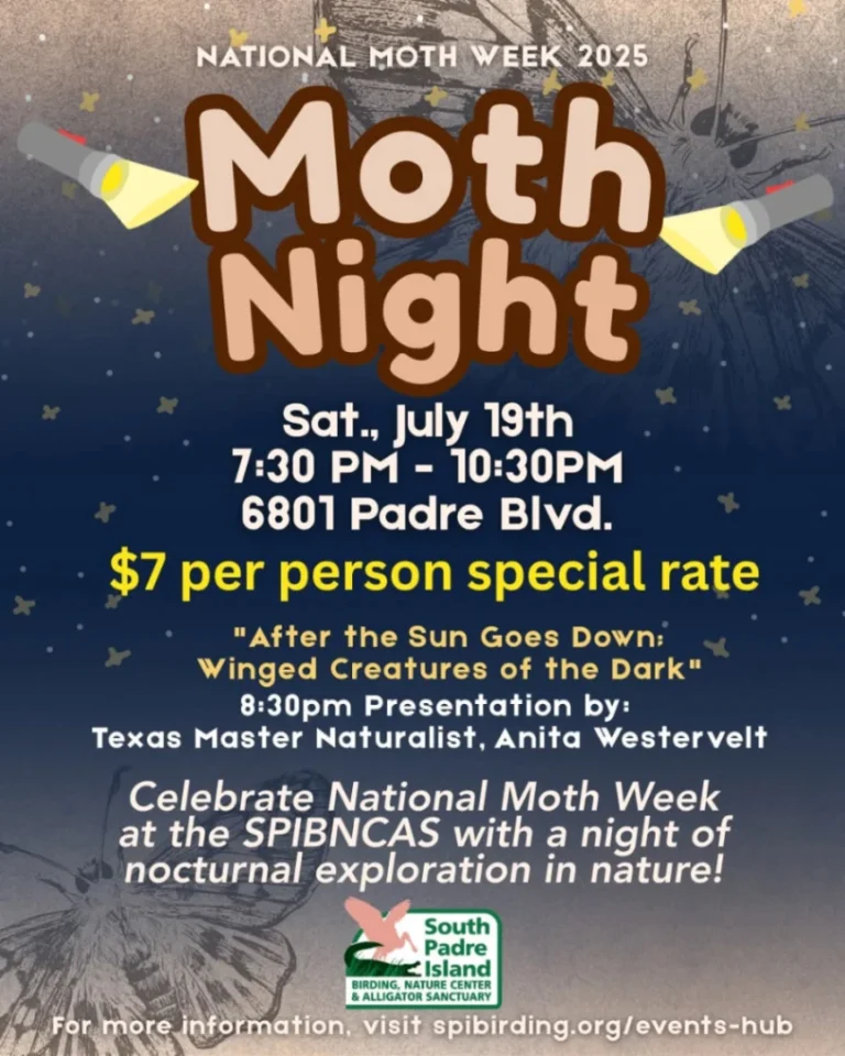 Moth Night