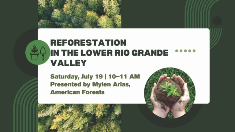 Reforestation In The Lower Rio Grande Valley