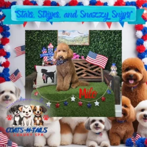 Coats N Tails Luxury Spa 2