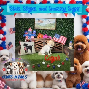 Coats N Tails Luxury Spa 3