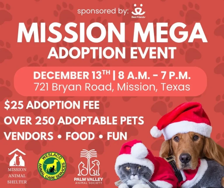 Mission Mega Adoption Event