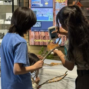 Wild Birds Unlimited Of Mcallen Tx 12