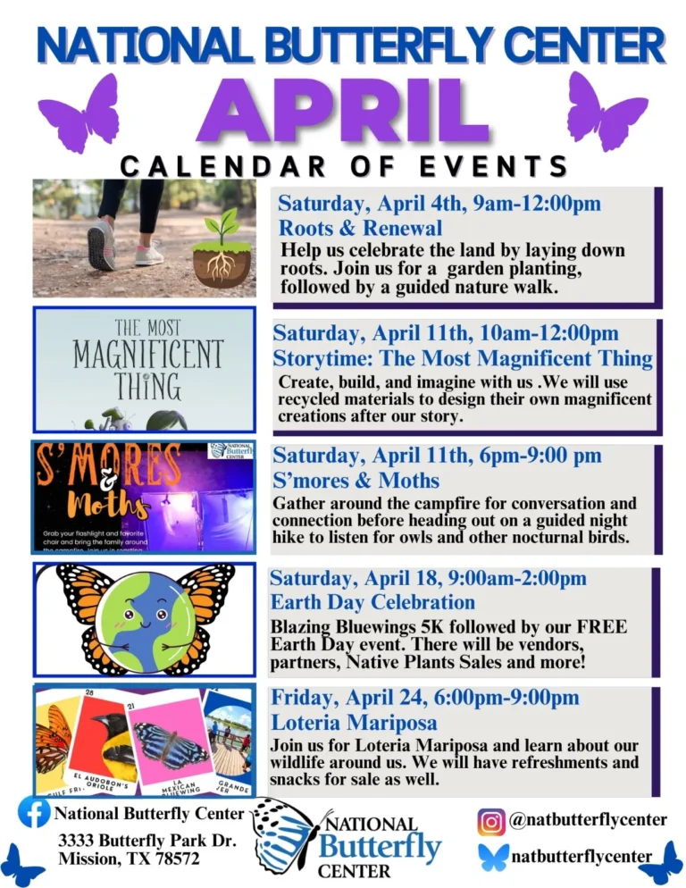 Roots & Renewal - Image 01 (April 2, 2026)