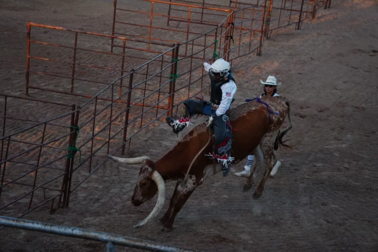 Things to Do in the RGV: Markets, Concerts, Festivals and Local Events Across the Rio Grande Valley - Image 05 (April 3, 2026)