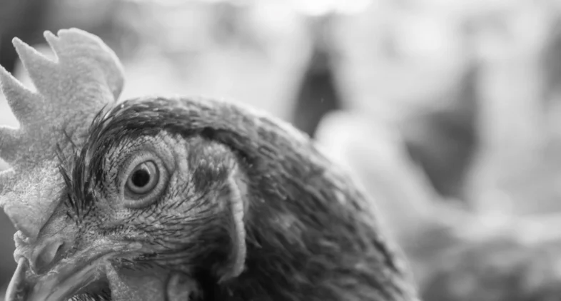 Agm Memories Photography 5