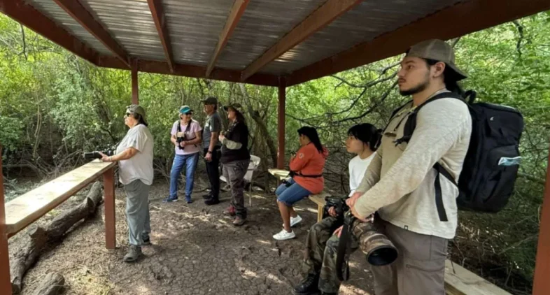 Wild Birds Unlimited Of Mcallen Tx 13